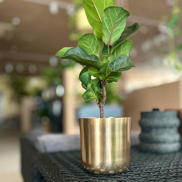 シャイニーアルミプランター Φ13 | upstairs outdoor living