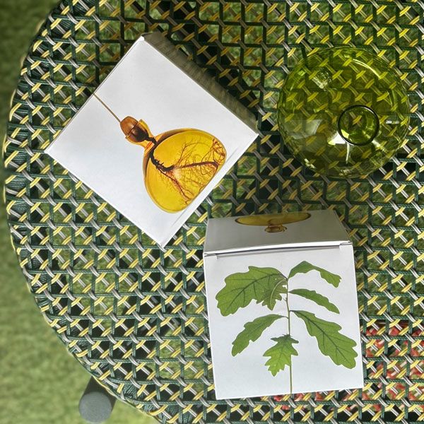 アボカドベース グラスグリーン | upstairs outdoor living